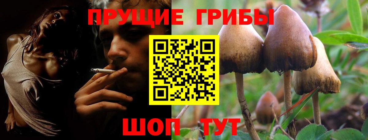Псилоцибиновые грибы GOLDEN TEACHER  Вход с VPN  Нягань 